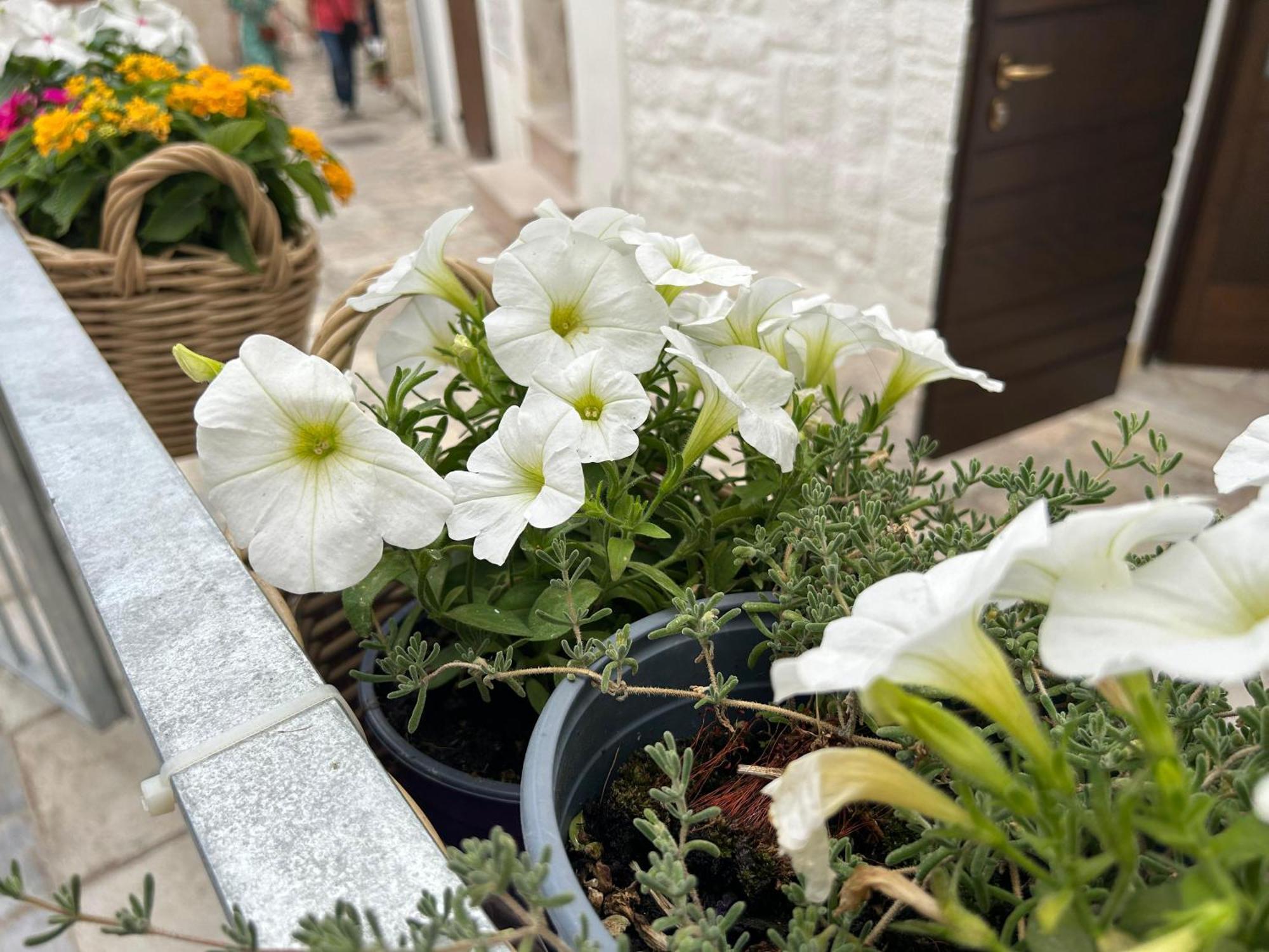 Trame Poesia Di Mare 2 Bed & Breakfast Polignano a Mare Exterior photo